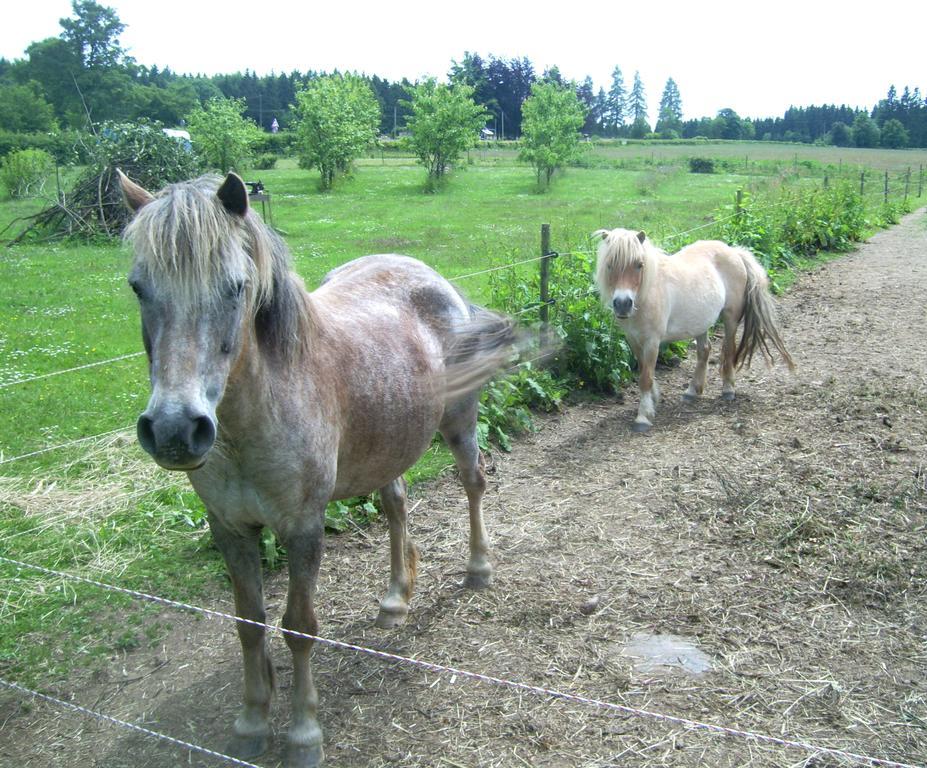 Heidehof Hellenthal 빌라 외부 사진