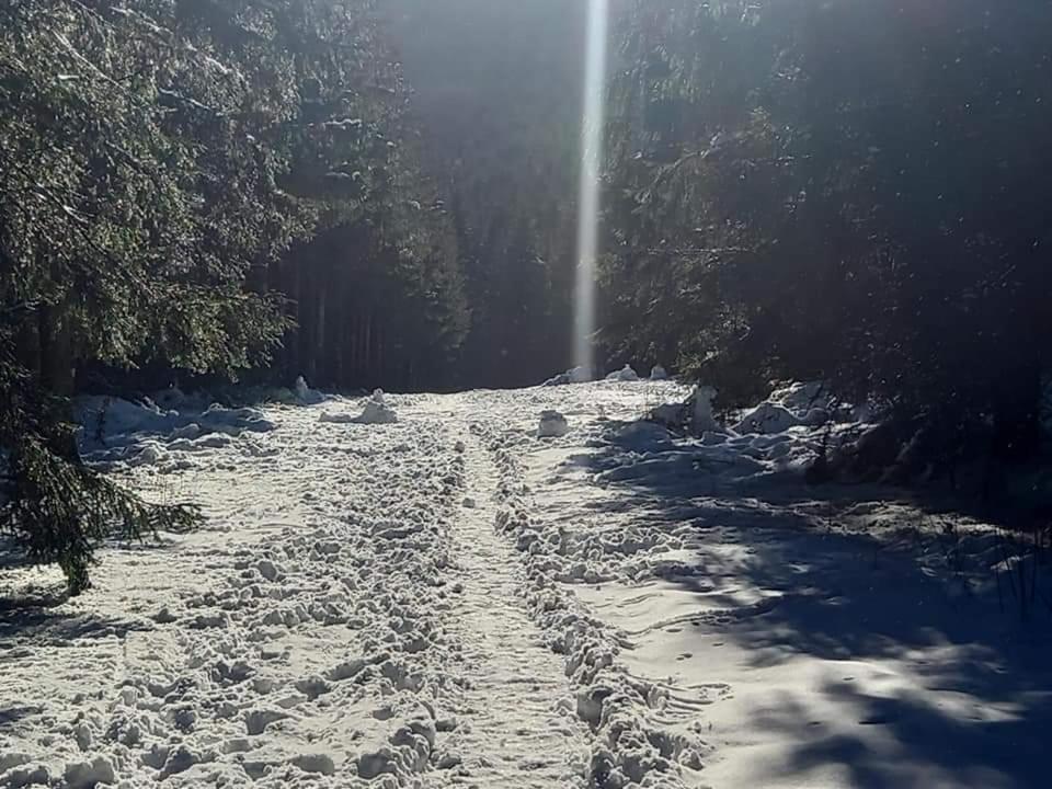 Heidehof Hellenthal 빌라 외부 사진