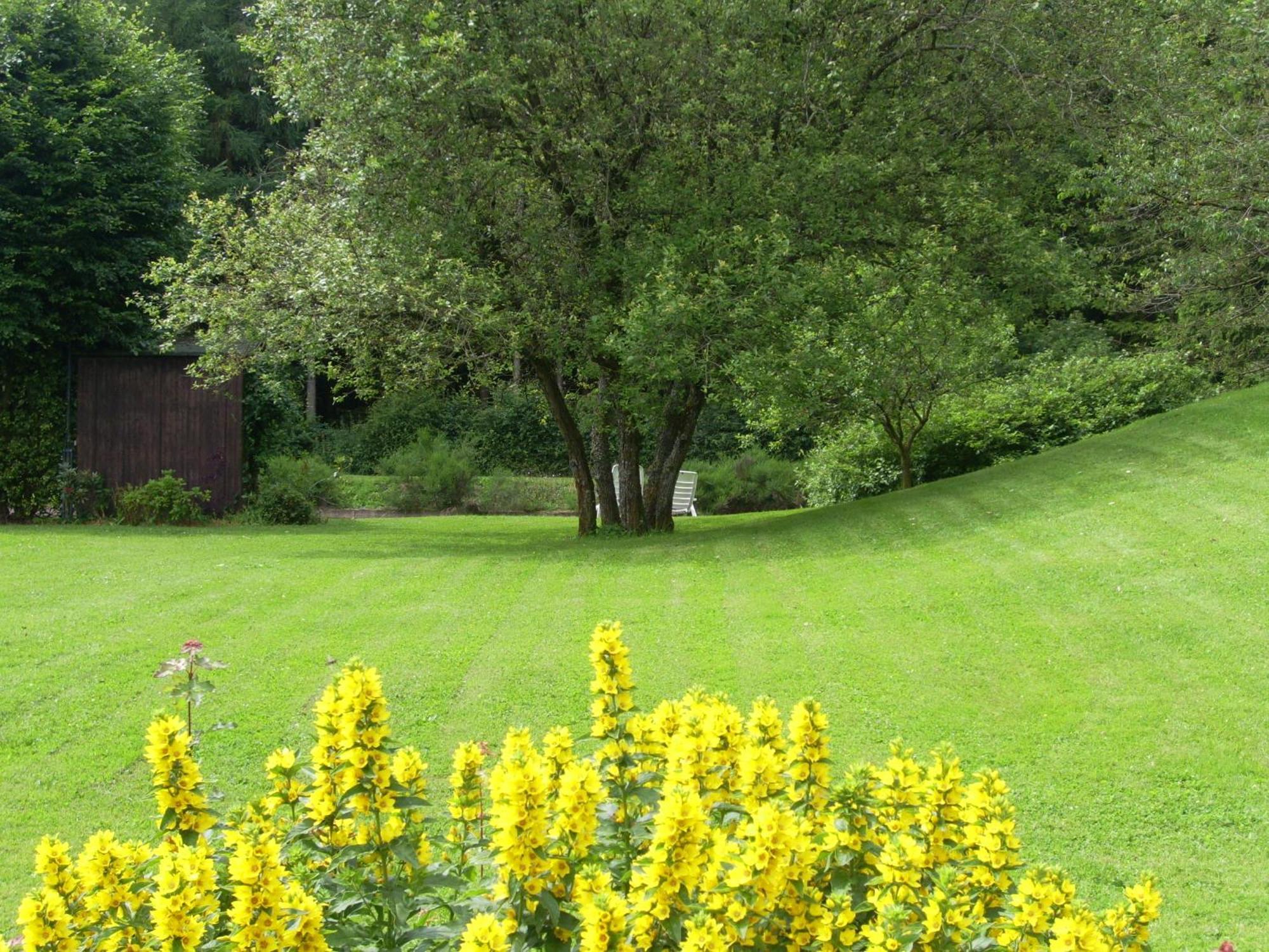 Heidehof Hellenthal 빌라 외부 사진