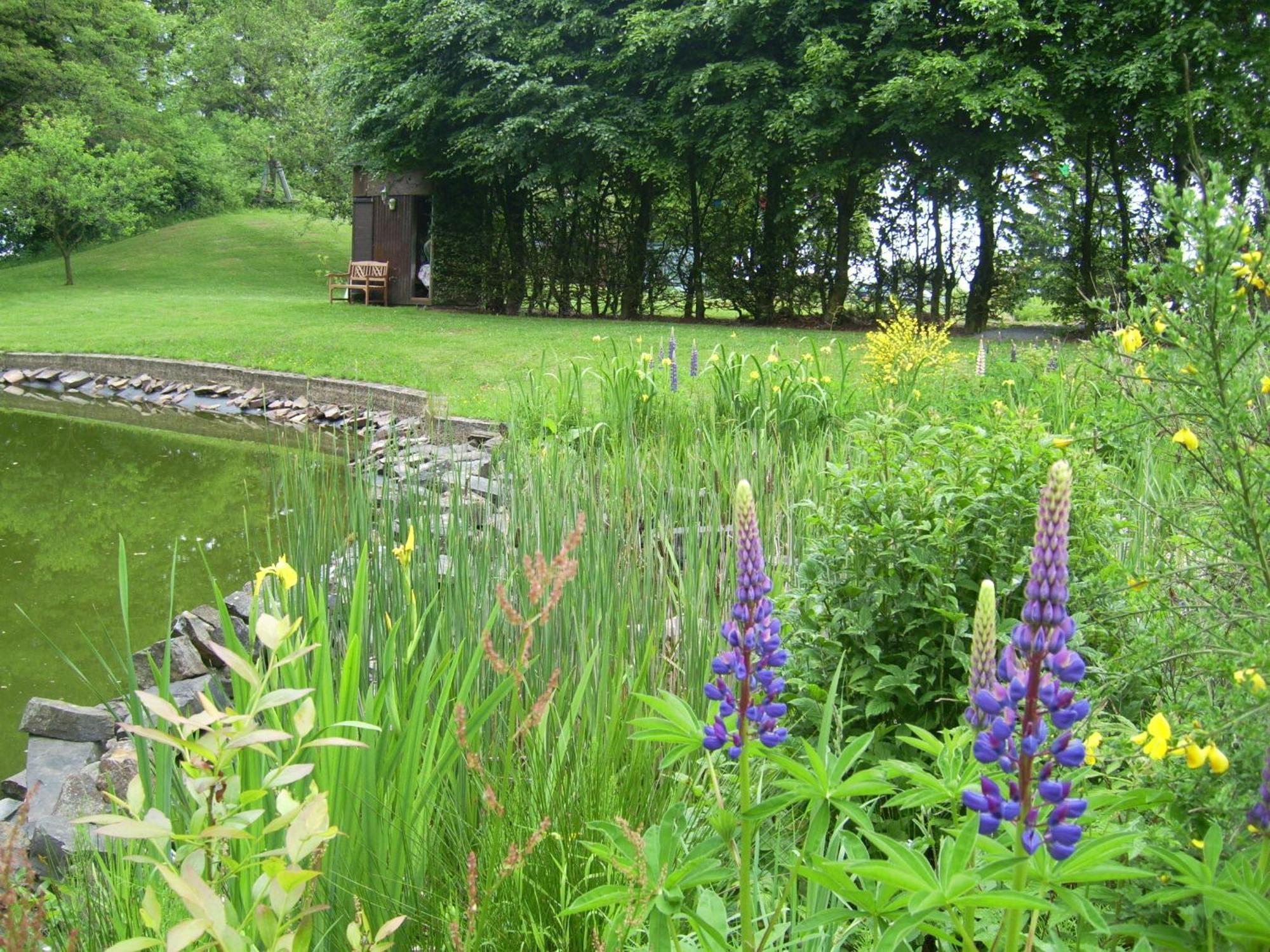 Heidehof Hellenthal 빌라 외부 사진